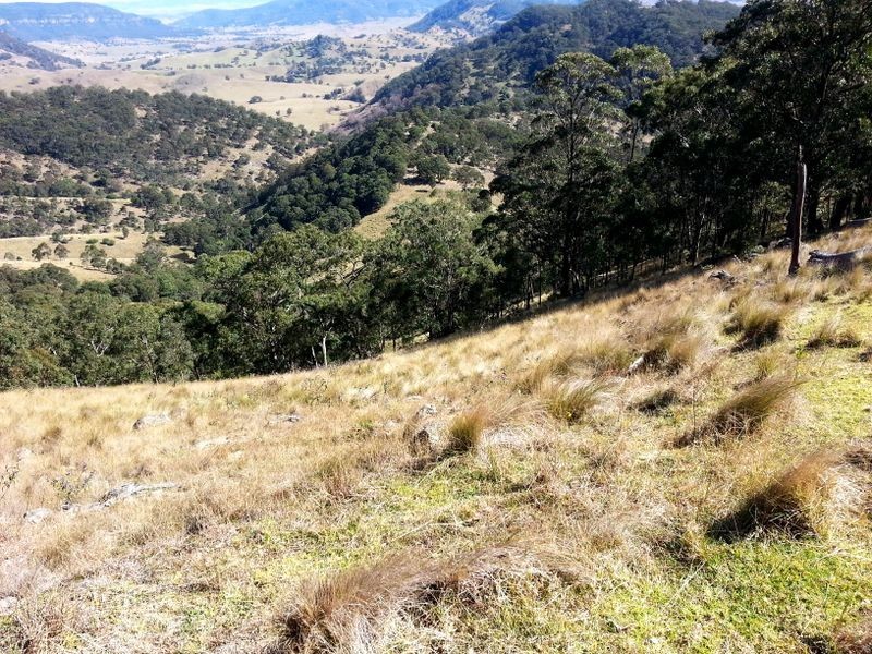 1740 Sandy Creek Road, Muswellbrook NSW 2333