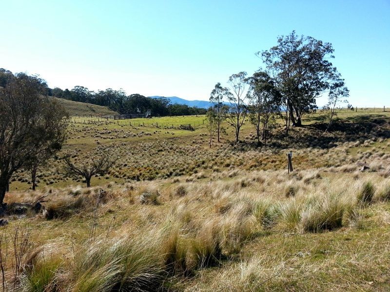 1740 Sandy Creek Road, Muswellbrook NSW 2333