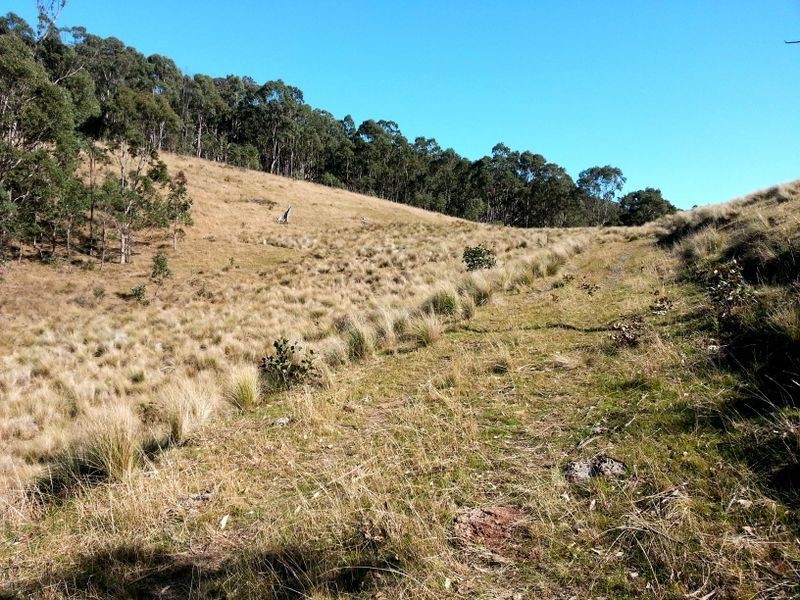 1740 Sandy Creek Road, Muswellbrook NSW 2333