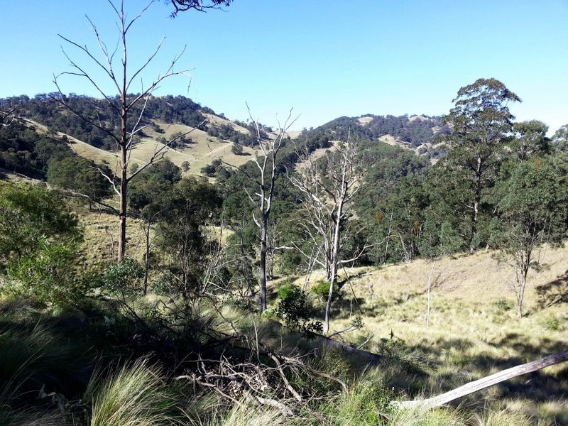 1740 Sandy Creek Road, Muswellbrook NSW 2333