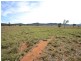 1183 Yarrawa Road, Yarrawa NSW 2328