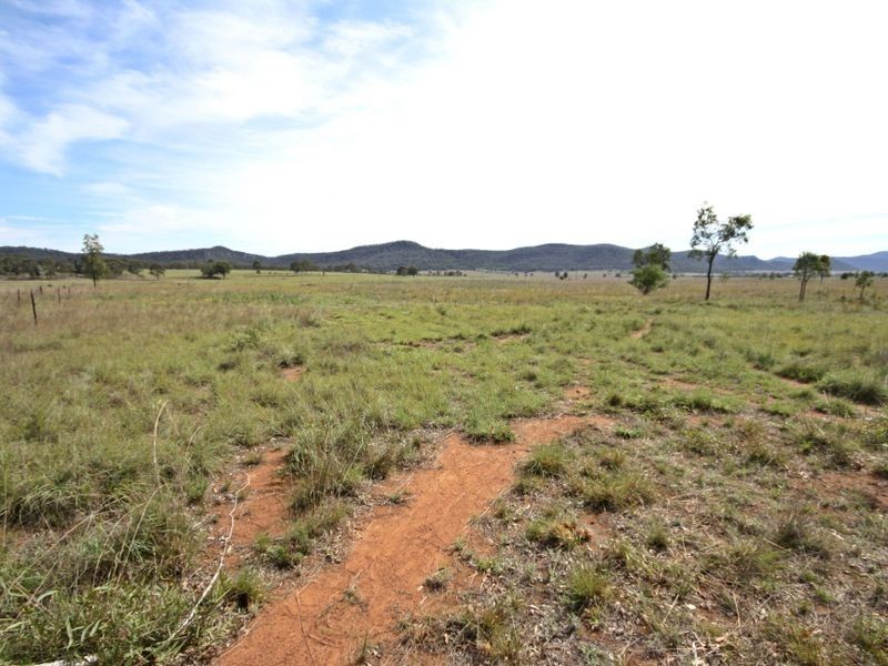 1183 Yarrawa Road, Yarrawa NSW 2328