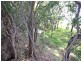 1183 Yarrawa Road, Yarrawa NSW 2328
