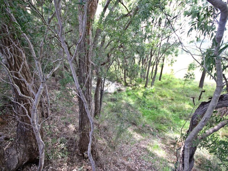 1183 Yarrawa Road, Yarrawa NSW 2328