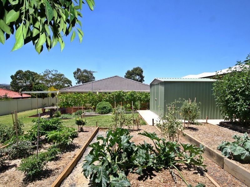 Muswellbrook NSW 2333