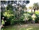 3 Haydon Street, Muswellbrook NSW 2333