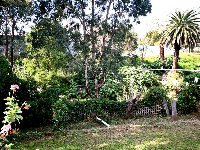 3 Haydon Street, Muswellbrook NSW 2333