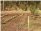 840 Worondai Creek Road, Gungal NSW 2333