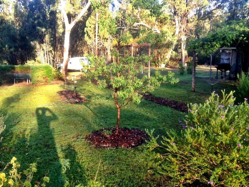 840 Worondai Creek Road, Gungal NSW 2333
