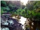 840 Worondai Creek Road, Gungal NSW 2333