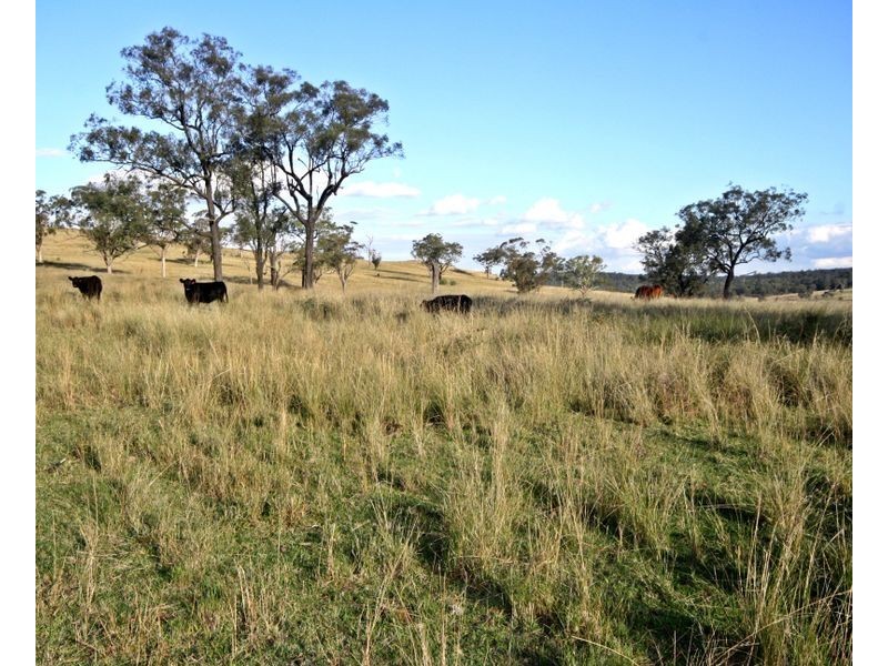 ‘Yamminga’ New England Highway, Muswellbrook NSW 2333