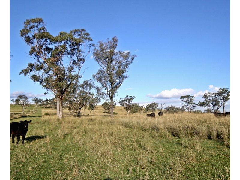 ‘Yamminga’ New England Highway, Muswellbrook NSW 2333