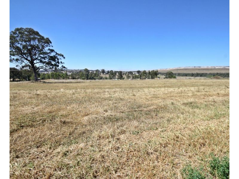 Lot 14 Enterprise Crescent, Muswellbrook NSW 2333