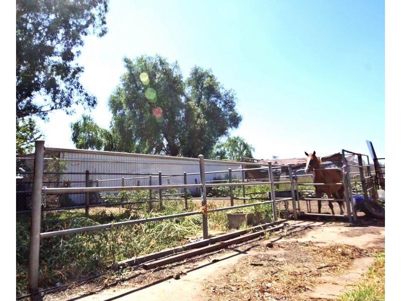 10 Sheppard Avenue, Muswellbrook NSW 2333