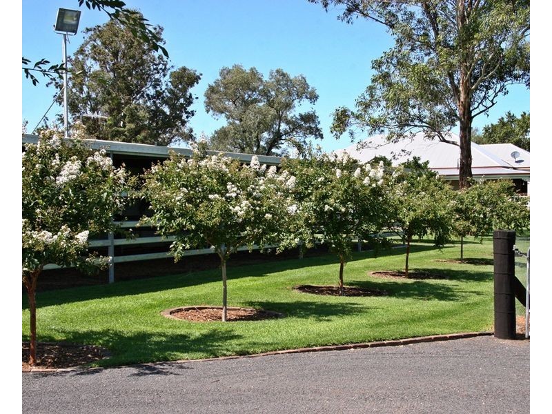 ‘Goanna Downs’ New England Hwy, Scone NSW 2337