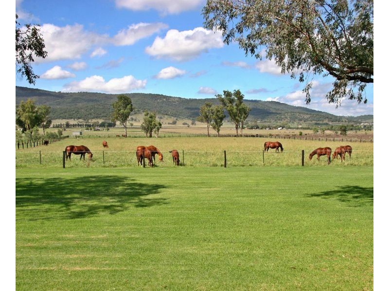 ‘Goanna Downs’ New England Hwy, Scone NSW 2337