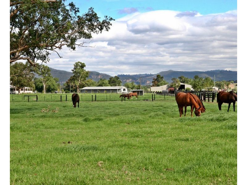 ‘Goanna Downs’ New England Hwy, Scone NSW 2337