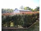 16 Edinglassie Drive, Muswellbrook NSW 2333