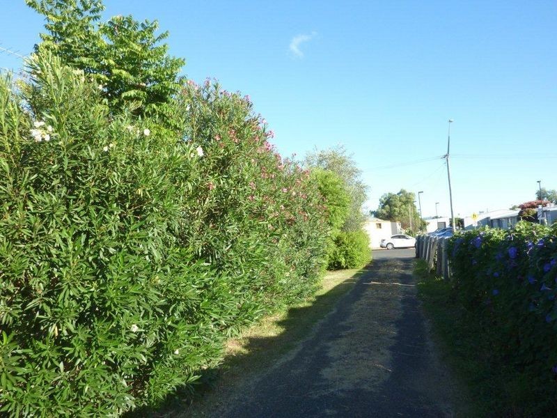 48 Ogilvie Street, Denman NSW 2328