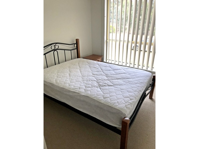 7 Day Street, Muswellbrook NSW 2333