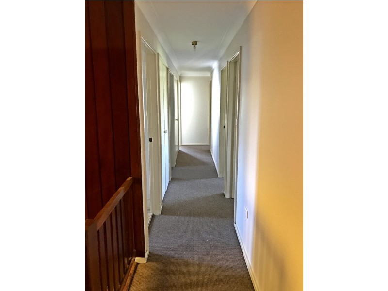 18 Carl Lane, Muswellbrook NSW 2333