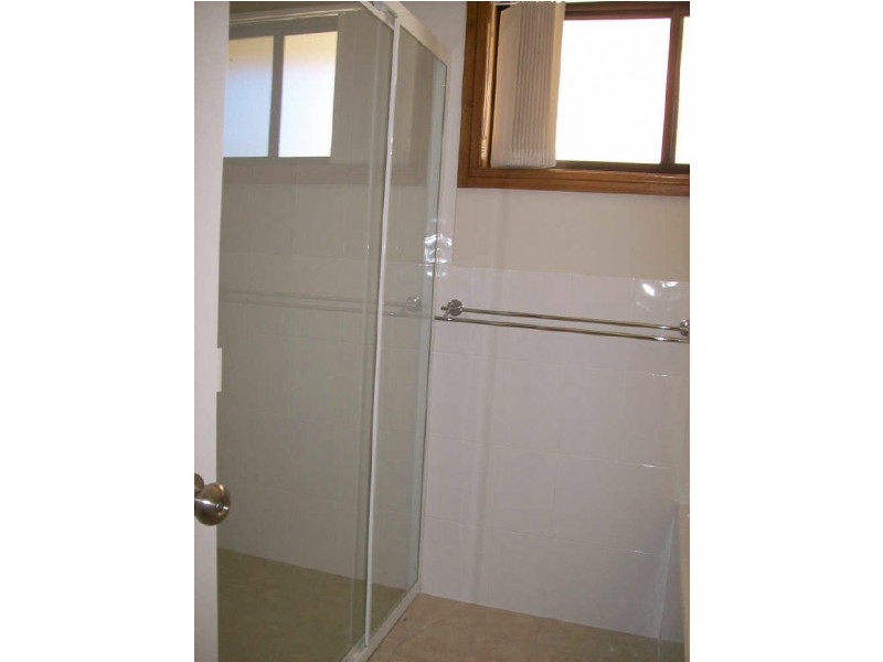 3 Black Street, Muswellbrook NSW 2333