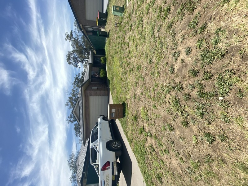 11 Hunt Place, Muswellbrook NSW 2333