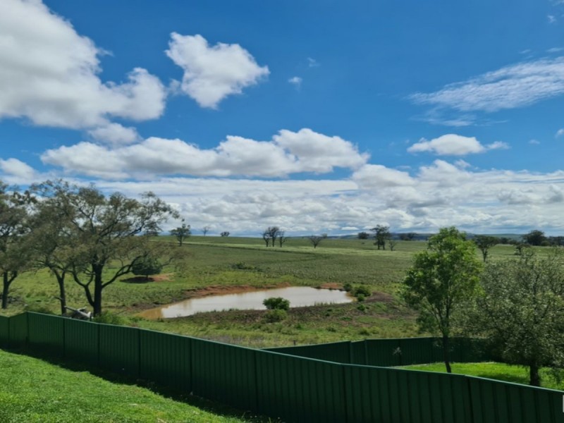20 Chivers Circuit, Muswellbrook NSW 2333