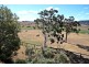 20 Cavalry Line Road, Glenbawn, Scone NSW 2337