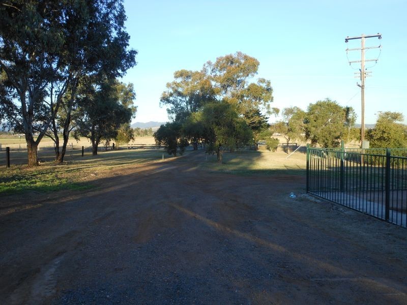 1180 Dartbrook Road, Dartbrook NSW 2336