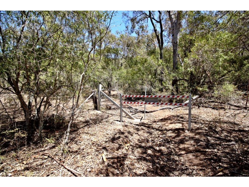421 Golden Highway, Denman NSW 2328