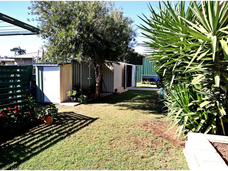 10 Henry Dangar Drive, Muswellbrook NSW 2333