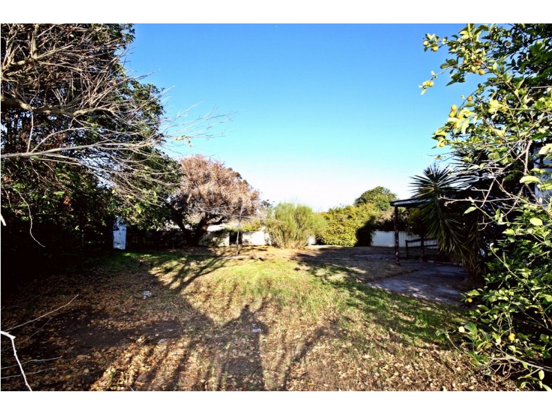 35 Scott Street, Muswellbrook NSW 2333