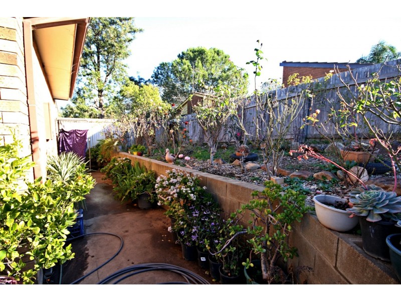 5 Waratah Lane, Aberdeen NSW 2336