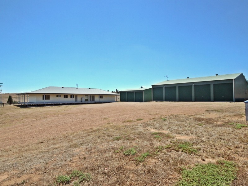 1431 Wybong Road, Muswellbrook NSW 2333