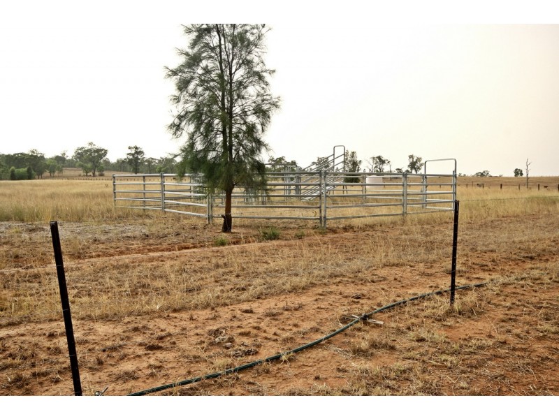 1431 Wybong Road, Muswellbrook NSW 2333