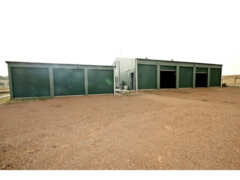 1431 Wybong Road, Muswellbrook NSW 2333