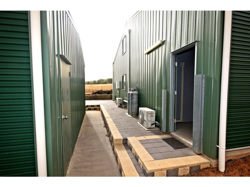 1431 Wybong Road, Muswellbrook NSW 2333