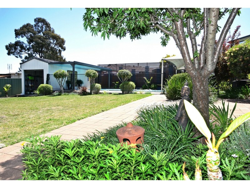 31 Shiraz Street, Muswellbrook NSW 2333