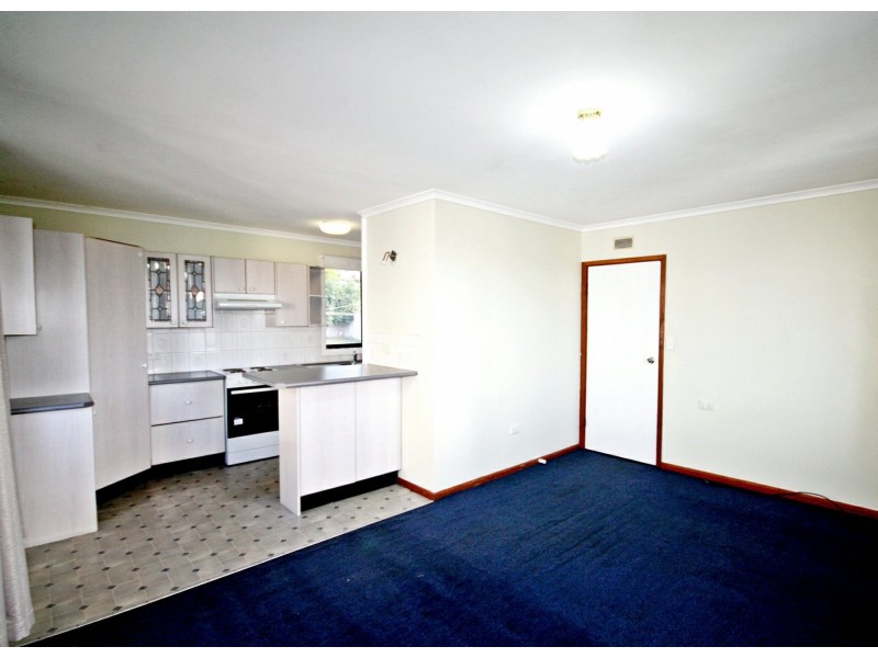 53 Skellatar Street, Muswellbrook NSW 2333