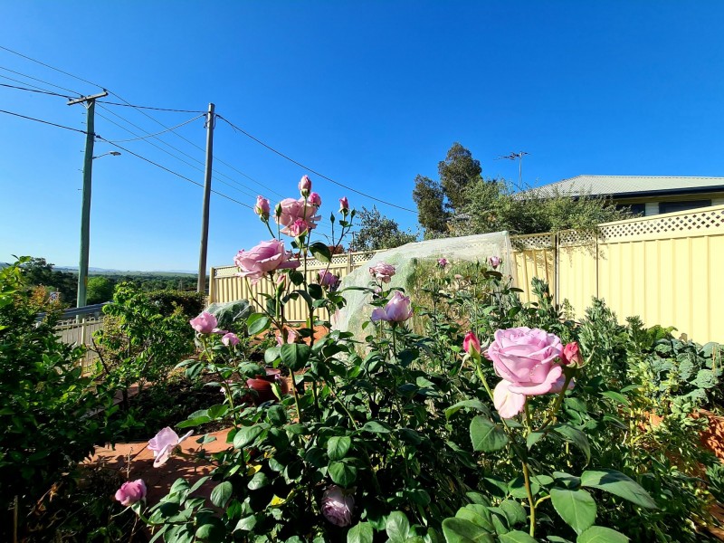 2 Dumaresq Street, Muswellbrook NSW 2333