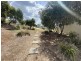 Unit 24/15 lofberg court, Muswellbrook NSW 2333
