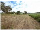 Lot 145 Golden Highway, Cassilis NSW 2329