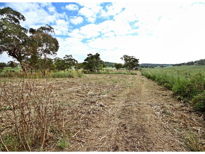 Lot 145 Golden Highway, Cassilis NSW 2329