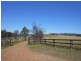 317 Rosemount Road, Denman NSW 2328