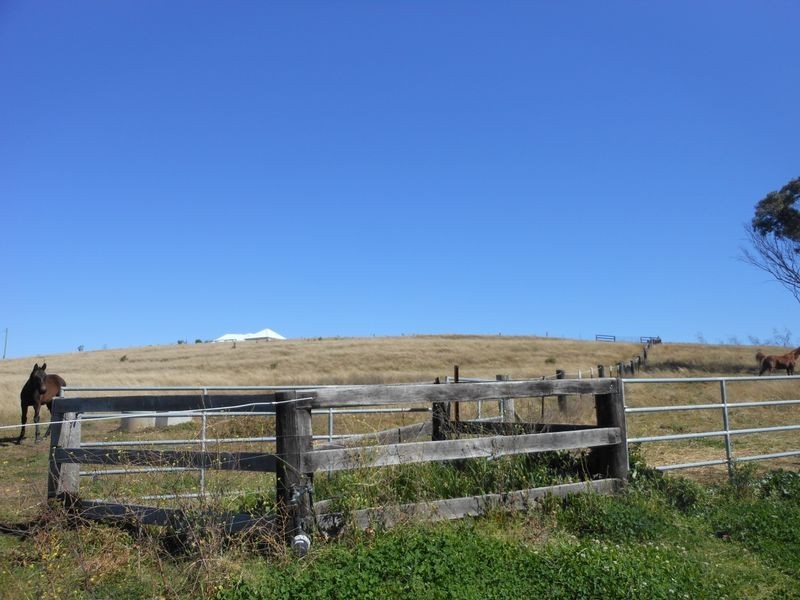 317 Rosemount Road, Denman NSW 2328