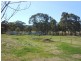 317 Rosemount Road, Denman NSW 2328