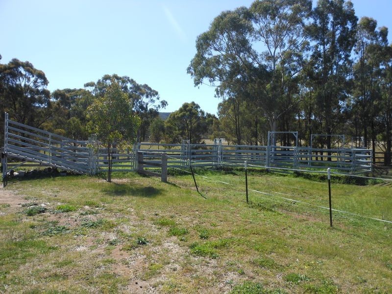 317 Rosemount Road, Denman NSW 2328