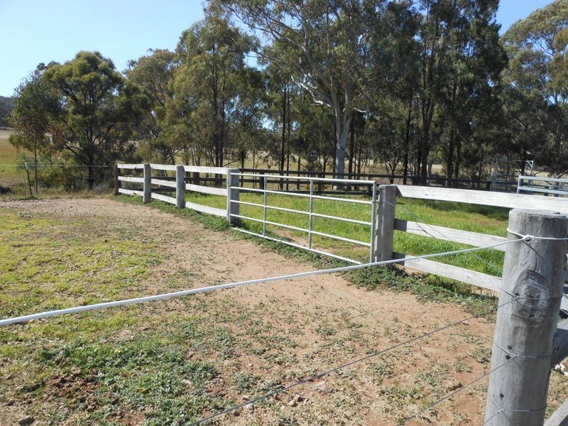 317 Rosemount Road, Denman NSW 2328