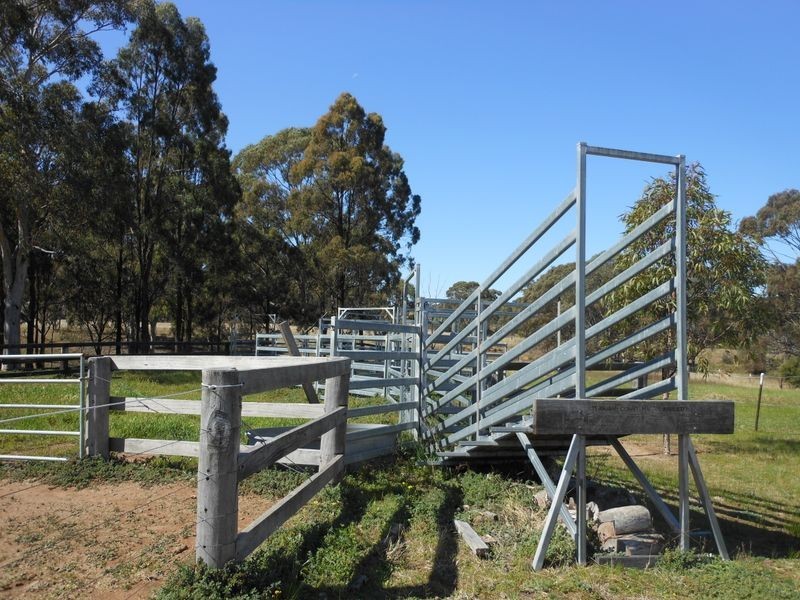 317 Rosemount Road, Denman NSW 2328
